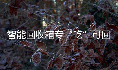 箱专回收回收智能吃垃圾可